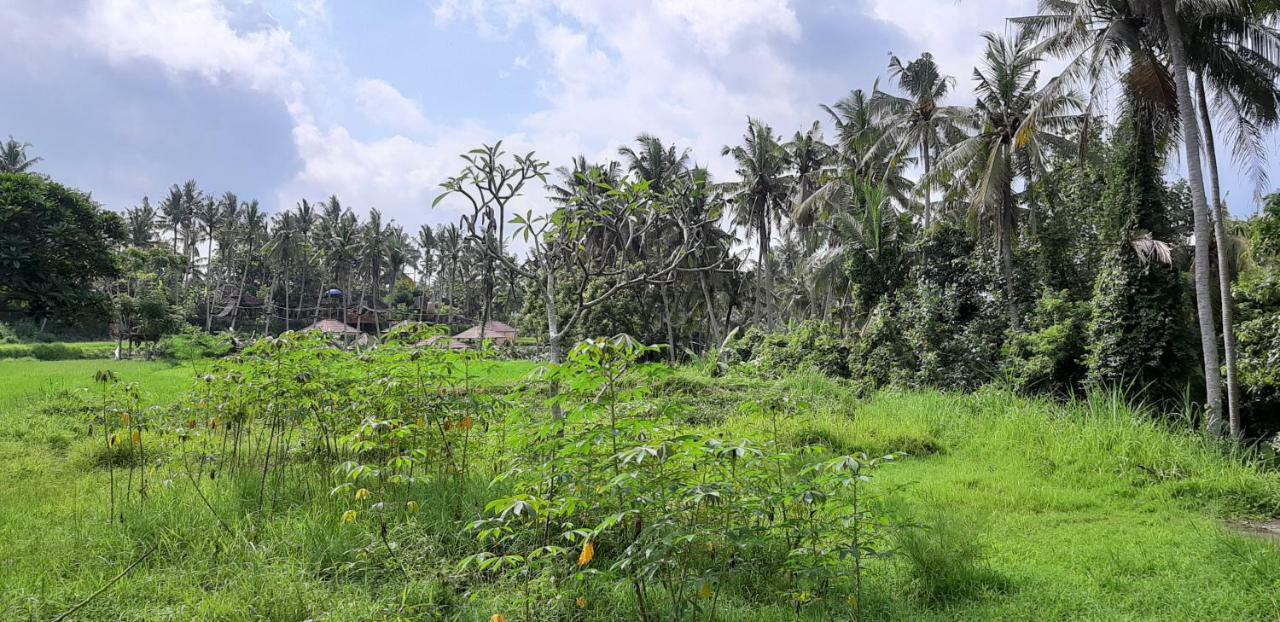 Pondok Tulasi Semaya House Gianyar  Exterior photo